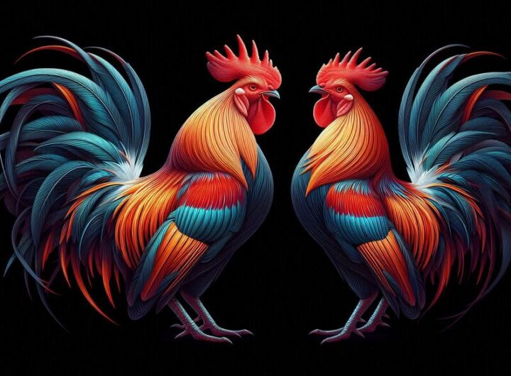 sabung ayam bangkok